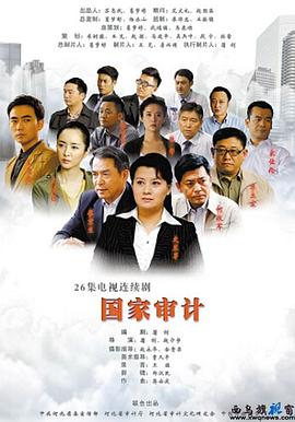 国家审计 第14集